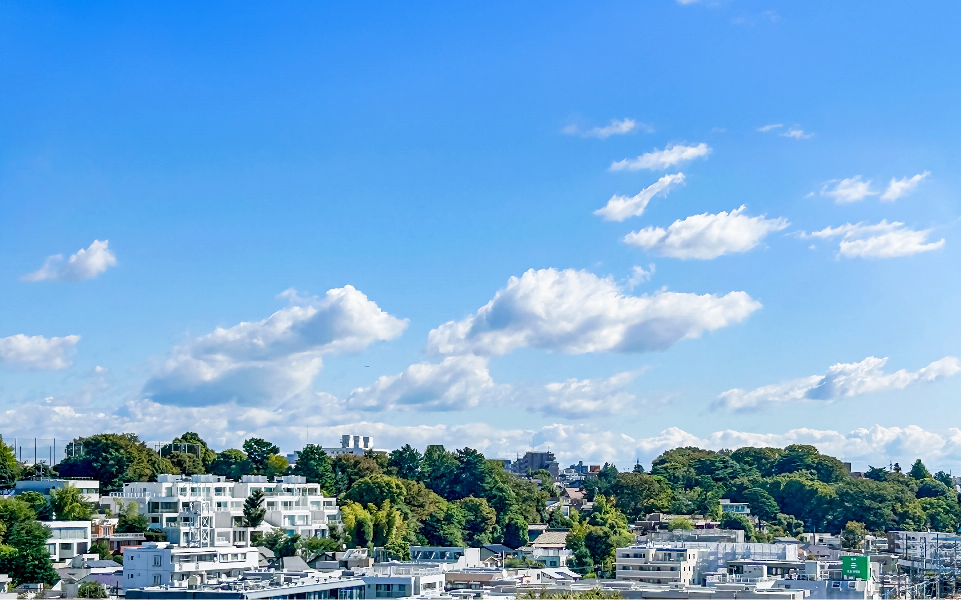 選ばれる3つの理由